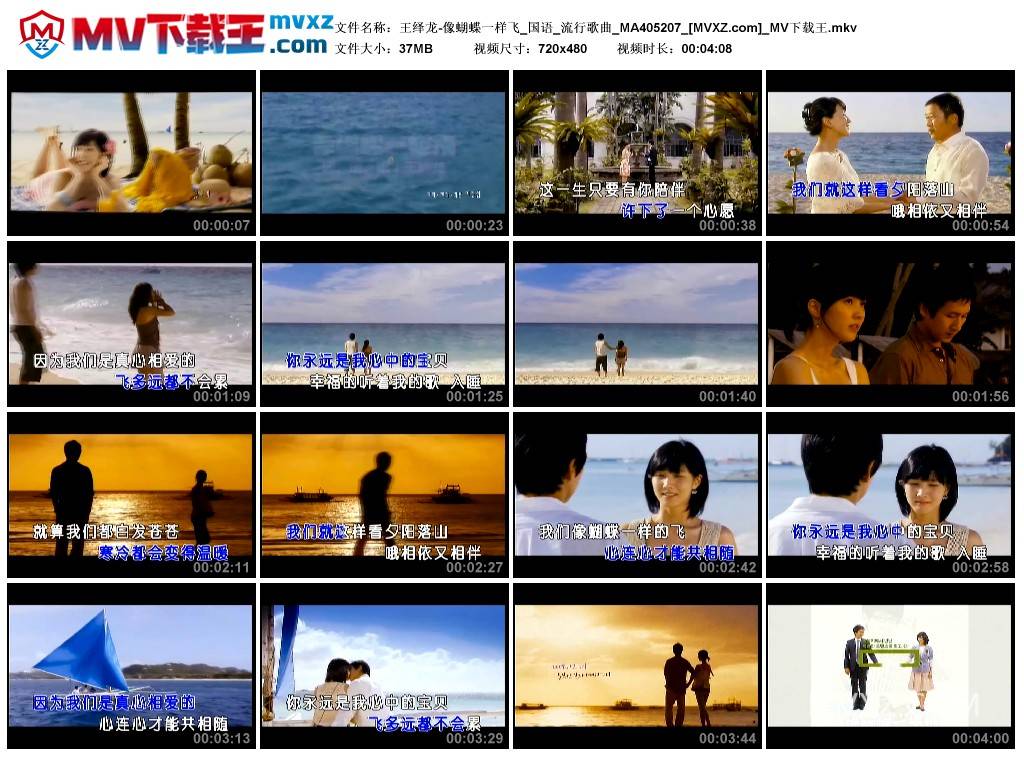 王绎龙-像蝴蝶一样飞_国语_流行歌曲_MA405207